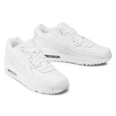 Vabaaja kingad Nike Air Max 90 LTR hind ja info | Naiste spordi- ja vabaajajalatsid | kaup24.ee