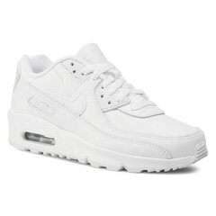 Vabaaja kingad Nike Air Max 90 LTR hind ja info | Naiste spordi- ja vabaajajalatsid | kaup24.ee