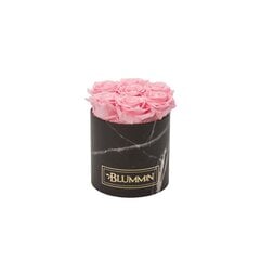 Спящие стабилизированные розы - Small black marble box / Bridal Pink цена и информация | Спящие стабилизированные розы, растения | kaup24.ee