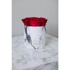 Спящие стабилизированные розы - Small white marble box / Vibrant Red цена и информация | Спящие стабилизированные розы, растения | kaup24.ee