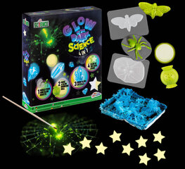 Teadlase komplekt 4in1 Glow in the Dark цена и информация | Развивающие игрушки | kaup24.ee