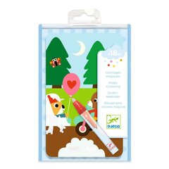 Раскраска с водой для малышей (дорожный размер) - В парке, DJECO DJ09075 цена и информация | Развивающие игрушки | kaup24.ee