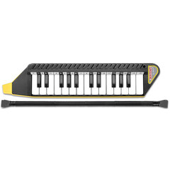 Mouthpiano 25 keys with mouth tube and case цена и информация | Развивающие игрушки | kaup24.ee