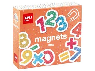 Magnetid Figuurid Apli Kids, 30 tk цена и информация | Развивающие игрушки | kaup24.ee