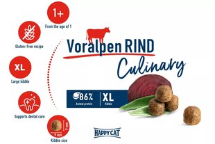 Happy Cat Culinary Voralpen Rind kuivtoit kassidele veiselihaga, 2x10 kg hind ja info | Kuivtoit kassidele | kaup24.ee