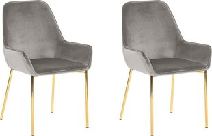 2 tooli komplekt Beliani Loverna, hall/kuldne hind ja info | Söögitoolid, baaritoolid | kaup24.ee