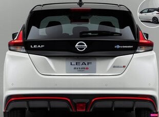 Nissan LEAF - CHROM kroomitud riba tagaluugile hind ja info | Lisaseadmed | kaup24.ee