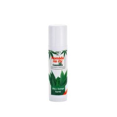 Bione Cosmetics Bio Cannabis huulepalsam 17 ml hind ja info | Huulepulgad, -läiked, -palsamid, vaseliin | kaup24.ee