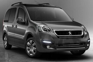 PEUGEOT Partner Tepee - CHROM GRILL võrega ääristused hind ja info | Lisaseadmed | kaup24.ee