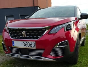 PEUGEOT 3008 II - CHROM GRILL võrega triibud Tuning цена и информация | Дополнительные принадлежности | kaup24.ee