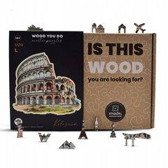 Puzzle Colosseum 160 tükki raske puidust puzzle L hind ja info | Pusled | kaup24.ee