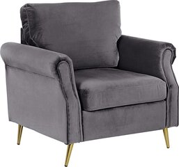 Кресло Beliani Vietas, серый/золотой цена и информация | Кресла в гостиную | kaup24.ee