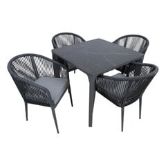 Garden furniture set CARVES table and 4 chairs цена и информация | Комплекты уличной мебели | kaup24.ee