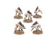 Kokkupandav mudel T'au Empire Kroot Hounds Warhammer 26 hind ja info | Klotsid ja konstruktorid | kaup24.ee