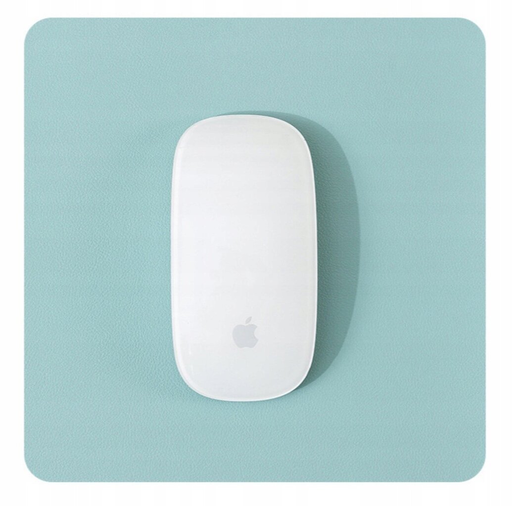 Juhtum Hiirepadi Apple Magic Mouse цена и информация | Hiired | kaup24.ee