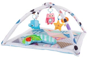 Haridusmatt Tipi telk 2w1 Sun Baby hind ja info | Tegelustekid | kaup24.ee