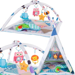 Haridusmatt Tipi telk 2w1 Sun Baby hind ja info | Tegelustekid | kaup24.ee