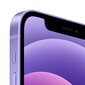 Apple iPhone 12 Mini 128GB Purple Renew цена и информация | Telefonid | kaup24.ee