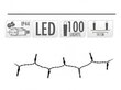 LED lambid BLACK WW-100 цена и информация | Jõulutuled | kaup24.ee