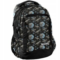 Kooli seljakott BeUniq Dino BU22DO-2808, 20 l, 41x31x18 cm hind ja info | Koolikotid, sussikotid | kaup24.ee