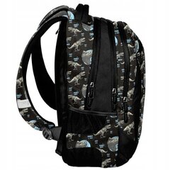 Kooli seljakott BeUniq Dino BU22DO-2808, 20 l, 41x31x18 cm hind ja info | Koolikotid, sussikotid | kaup24.ee