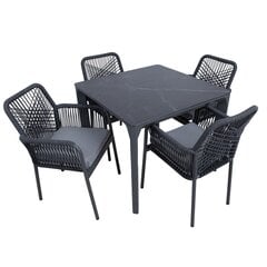 Garden furniture set CARVES table and 4 chairs цена и информация | Комплекты уличной мебели | kaup24.ee