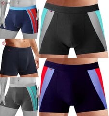 MORAJ MEESTE BAMBUS SHORTS 5tk. 2XL цена и информация | Плавки, плавательные шорты | kaup24.ee