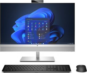 HP EliteOne 870 G9 (628G7ET) цена и информация | Стационарные компьютеры | kaup24.ee