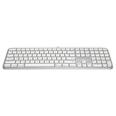 Logitech MX Keys S Pale Gray (920-011638) цена и информация | Клавиатуры | kaup24.ee