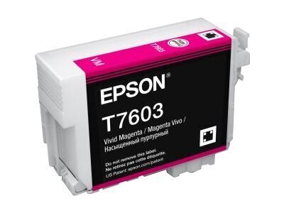 Epson T7603 Ink Vivid Magenta (C13T76034N10) цена и информация | Tindiprinteri kassetid | kaup24.ee