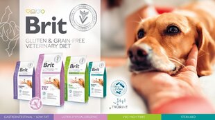 Brit Veterinary Diets Ultra Hypoallergenic 2кг при дерматологических и пищеварительных проблемах цена и информация | Сухой корм для собак | kaup24.ee