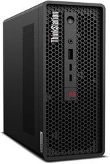 Lenovo ThinkStation P3 Ultra SFF (30HA001AGE) hind ja info | Lauaarvutid | kaup24.ee