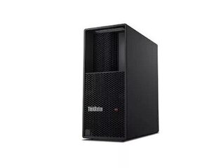 Lenovo ThinkStation P3 Tower (30GS003UPB) hind ja info | Lauaarvutid | kaup24.ee