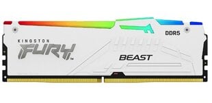 Kingston Fury Beast RGB (KF560C30BWEA-16) цена и информация | Оперативная память (RAM) | kaup24.ee