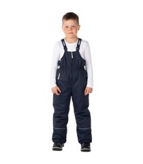 Lenne детские брюки 150g Jack 24351*229, тёмно-синий 4741593606700 цена и информация | Зимняя одежда для детей | kaup24.ee