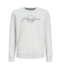 Jack & Jones детская толстовка 12259807*03, белый 5715603661170 цена и информация | Свитеры, жилетки, пиджаки для мальчиков | kaup24.ee