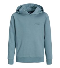 Jack & Jones детская толстовка 12259941*02, синий 5715603654479 цена и информация | Свитеры, жилетки, пиджаки для мальчиков | kaup24.ee