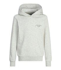 Jack & Jones детская толстовка 12259941*03, белый 5715603653502 цена и информация | Свитеры, жилетки, пиджаки для мальчиков | kaup24.ee