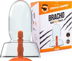 Dinoo Primal - Bracho Clear цена и информация | Фаллоимитаторы | kaup24.ee