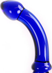 Kiotos Glass Glass Dildo Blue Curve цена и информация | Фаллоимитаторы | kaup24.ee