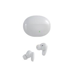 Беспроводные наушники Pinny T12 13MM 6H Type-C Bluetooth5.3 IPX5 цена и информация | Наушники | kaup24.ee