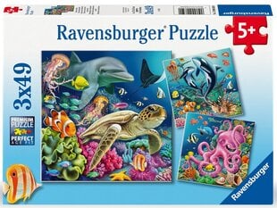 ravensburgeri pusle 3x49 tk mereloomad hind ja info | Pusled | kaup24.ee