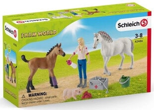 Набор фигурок Визит к ветеринару Schleich Farm World цена и информация | MUST Металлическая бутылочка с Ярким рисунком (без BPA) (500ml) для мальчиков от 3+ лет Серая с Машинкой | kaup24.ee