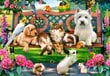 Pusle Castorland Pets in the Park, 1000-osaline hind ja info | Pusled | kaup24.ee