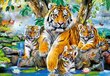 Pusle Puzzle Castorland Tigers by the Stream, 1000 osa цена и информация | Pusled | kaup24.ee