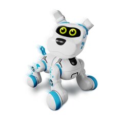 XTREM BOTS Interaktiivne robot Bobby hind ja info | Poiste mänguasjad | kaup24.ee