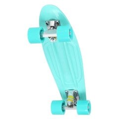 PENNYBOARD CLASSIC GREEN NILS EXTREME hind ja info | Rulad | kaup24.ee