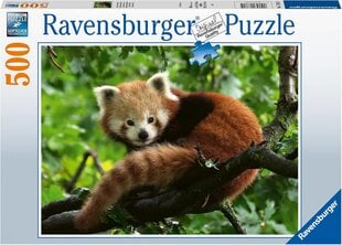 Ravensburger Ravensburger Puzzle Cute Red Panda (500 tükki) hind ja info | Pusled | kaup24.ee