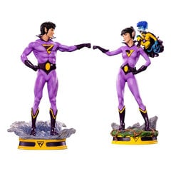 Iron Studios DC Comics - Wonder Twins kuju 1/10 цена и информация | Атрибутика для игроков | kaup24.ee