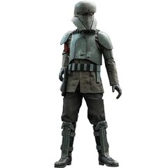 Hot Toys Star Wars: The Mandalorian - Transport Trooper figuur 1/6 цена и информация | Атрибутика для игроков | kaup24.ee